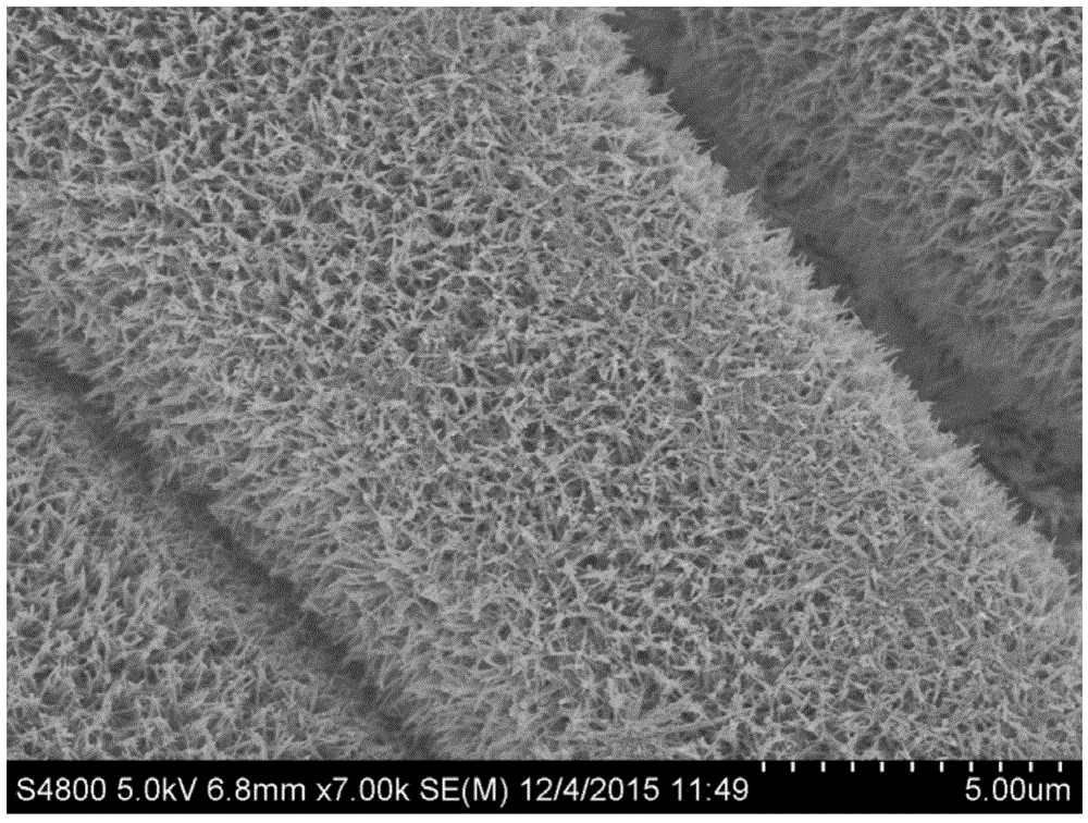 Method for loading titanium dioxide nanowires on polyester fabric