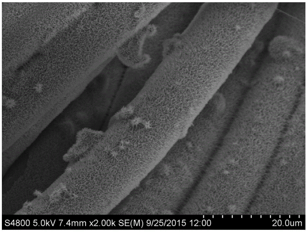 Method for loading titanium dioxide nanowires on polyester fabric