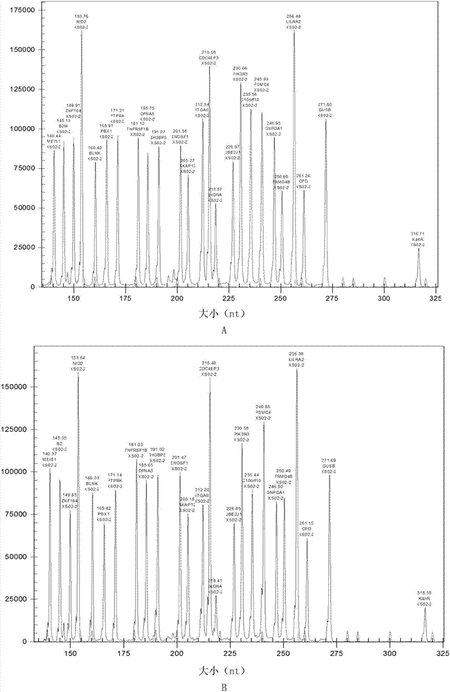 Kit for childhood acute lymphoblastic leukemia genotyping