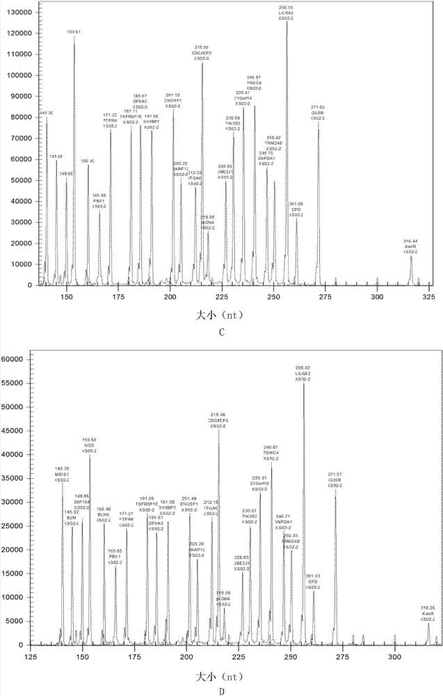 Kit for childhood acute lymphoblastic leukemia genotyping