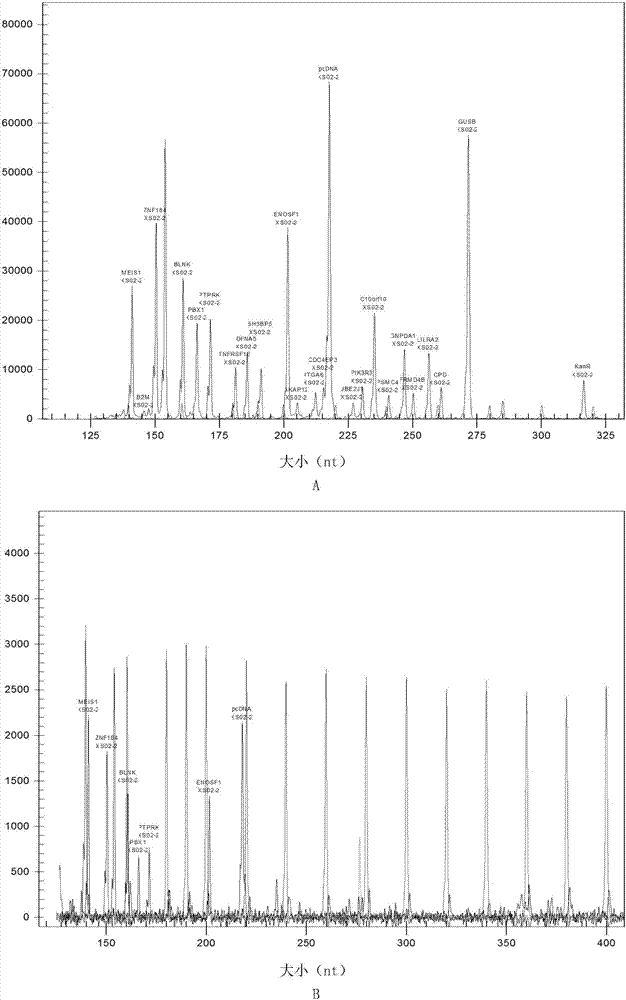 Kit for childhood acute lymphoblastic leukemia genotyping