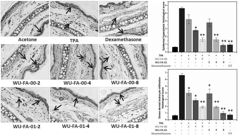 Preparation and application of fusidic acid chemically modified compound