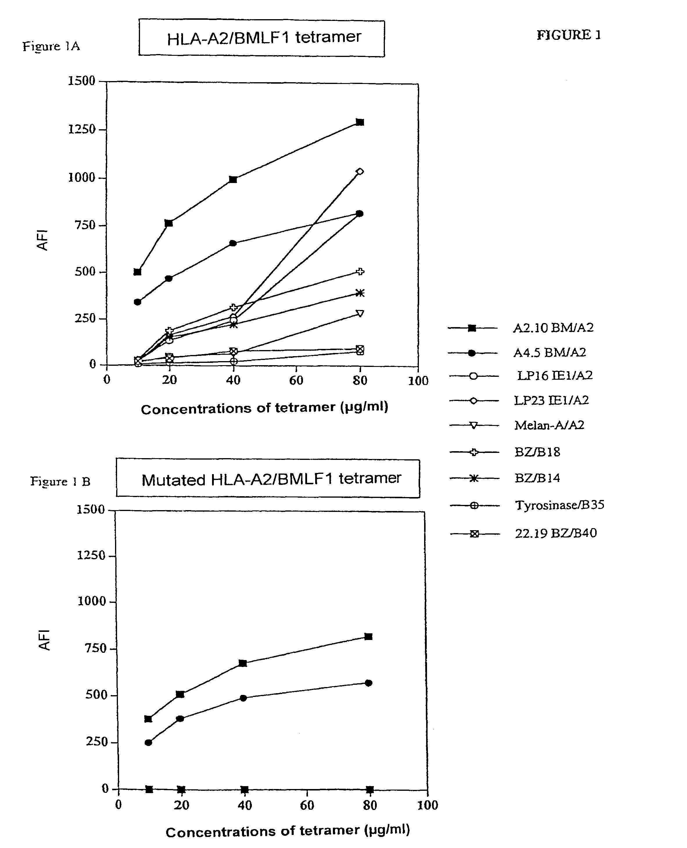 Means for detection and purification of CD8+ T lymphocyte populations specific to peptides presented in the context of HLA