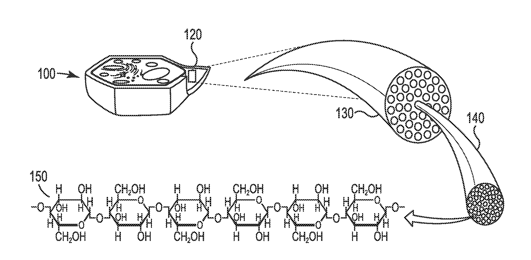 Aggregates of Coal and Beneficiated Organic-Carbon-Containing Feedstock