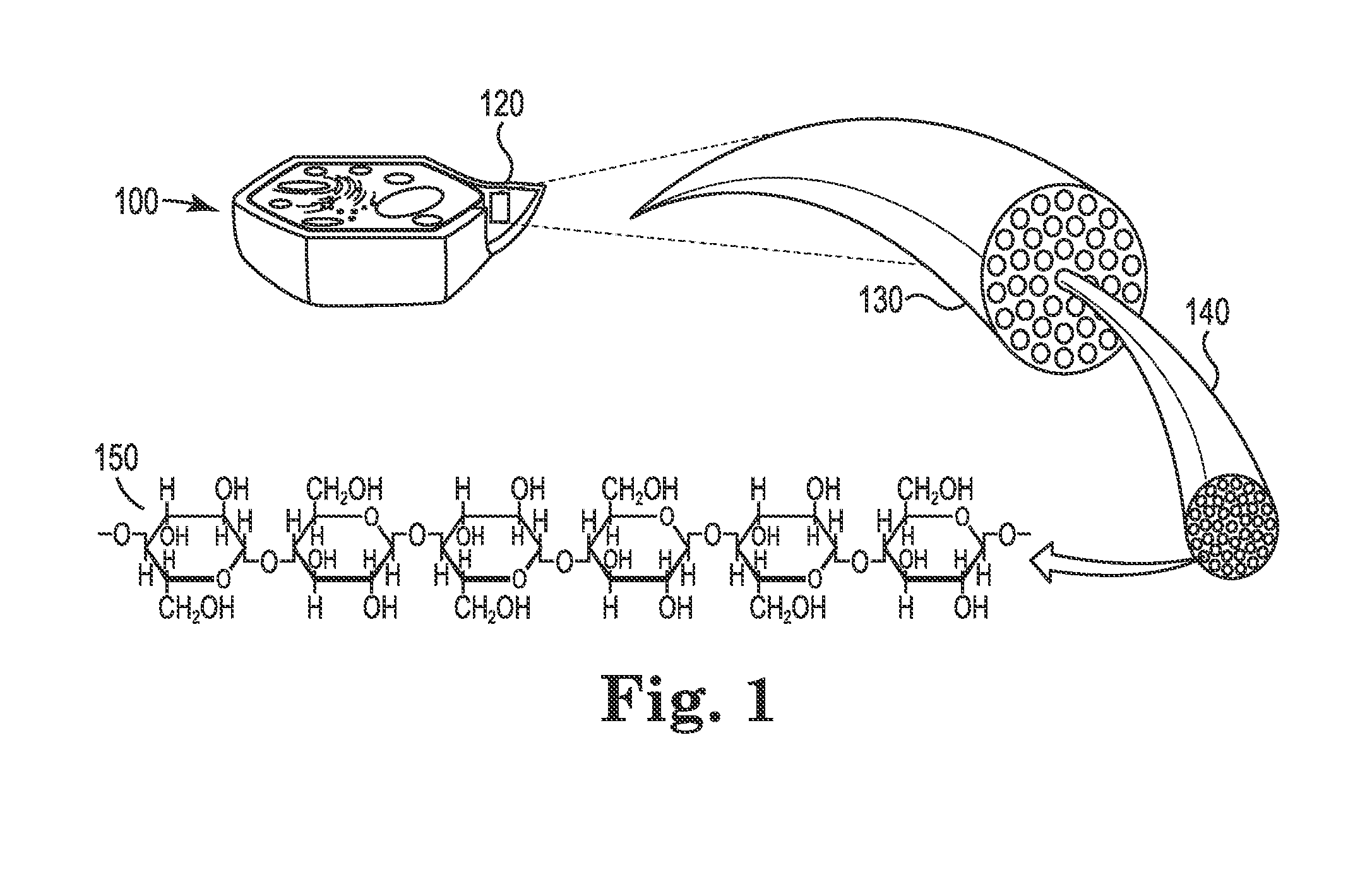 Aggregates of Coal and Beneficiated Organic-Carbon-Containing Feedstock