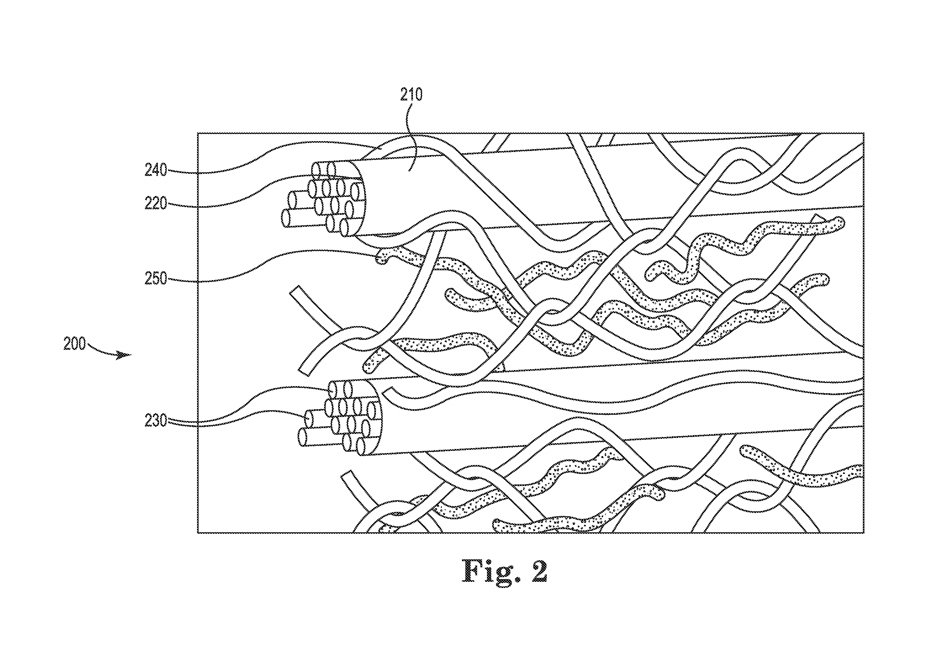 Aggregates of Coal and Beneficiated Organic-Carbon-Containing Feedstock