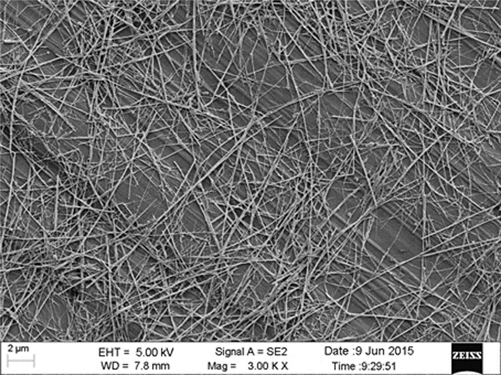 Method for preparing silver nanowire in hydrophobic phase