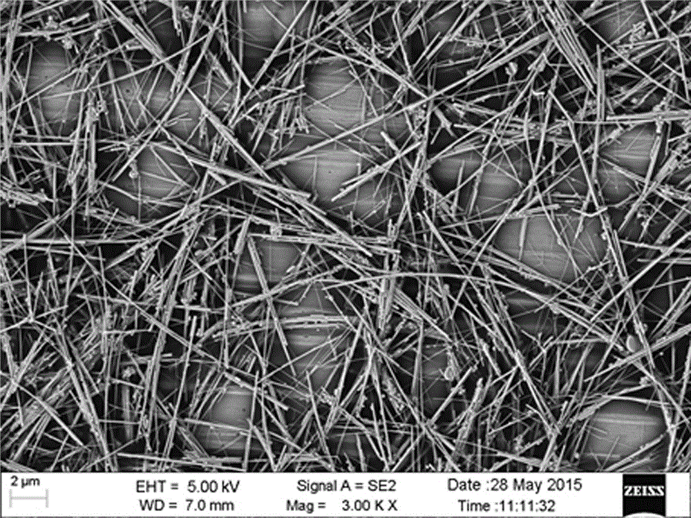 Method for preparing silver nanowire in hydrophobic phase