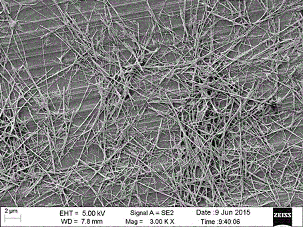 Method for preparing silver nanowire in hydrophobic phase