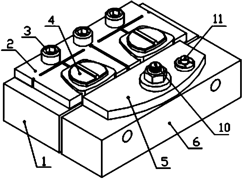 Elastic clamp applied to flat tongs for clamping special-shaped parts