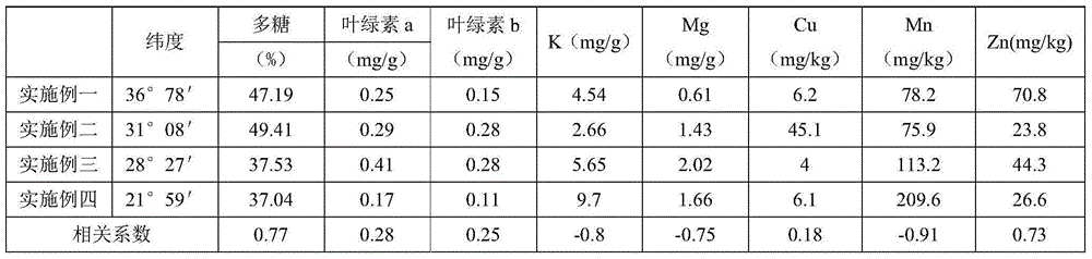 Cultivation method suitable for high latitude dendrobium officinale