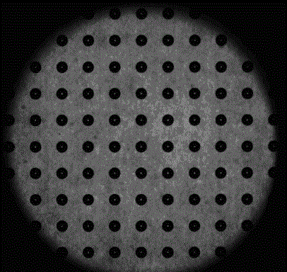 Automatic calibration method of bacterium colony selector