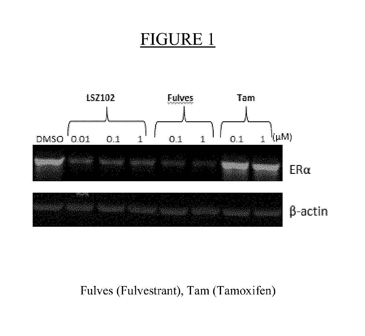 Pharmaceutical combination  comprising lsz102 and alpelisib