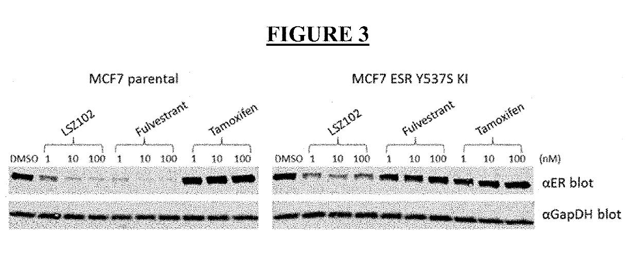 Pharmaceutical combination  comprising lsz102 and alpelisib