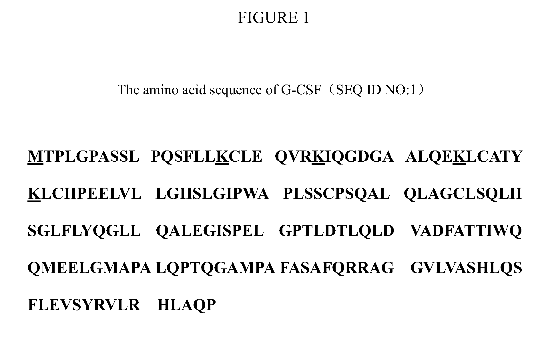 Y-shaped polyethylene glycol modified g-csf, the preparation and use thereof