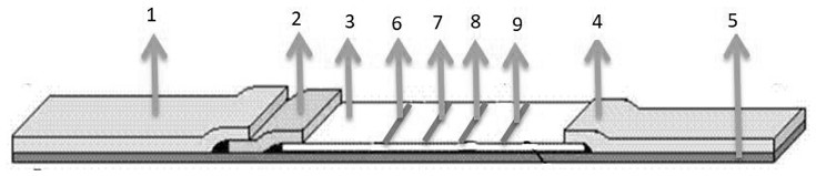 Kit for jointly detecting three rheumatism items and preparation method of kit