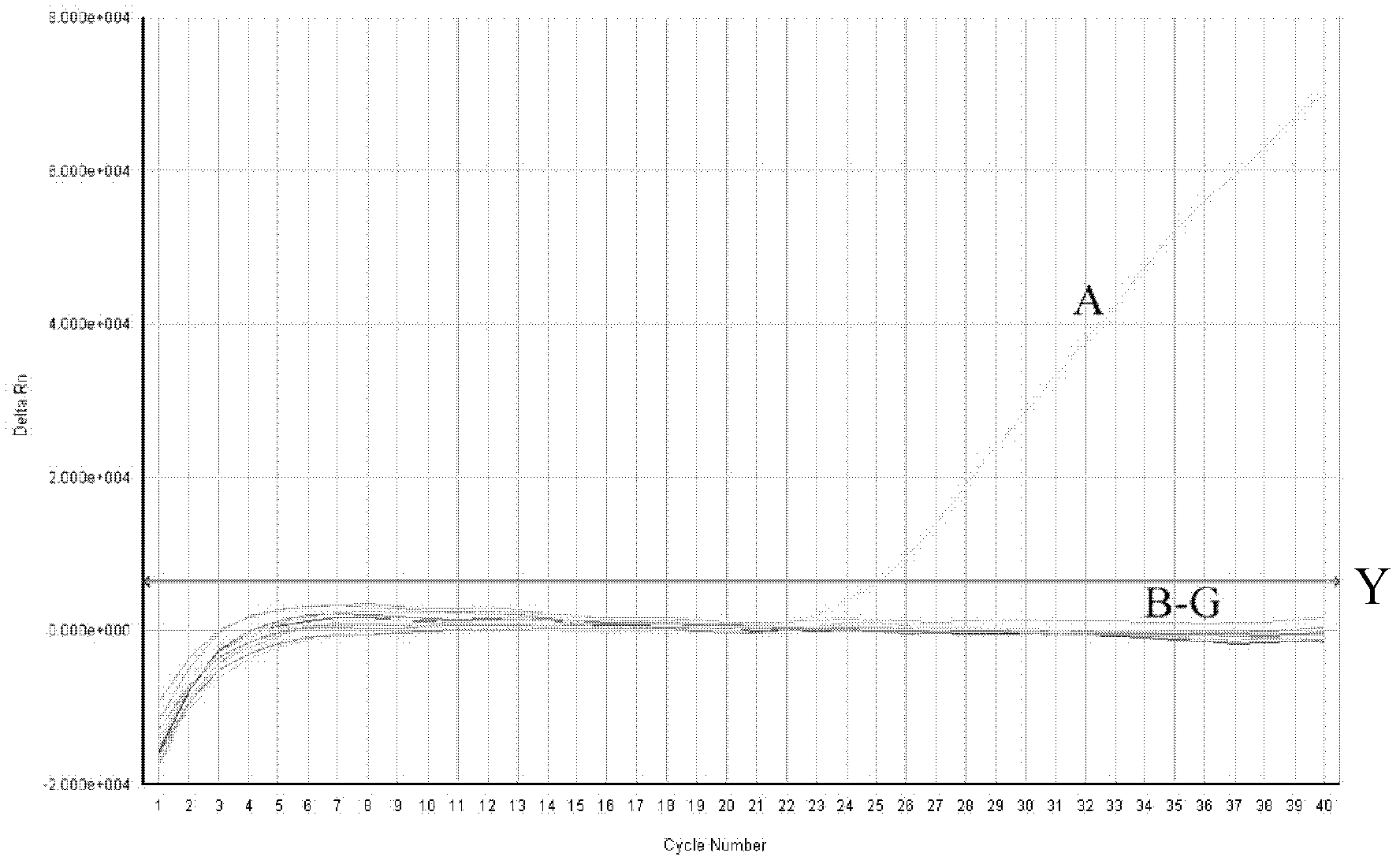 Novel orthobunyavirus fluorescence quantitative detection kit and detection method of virus