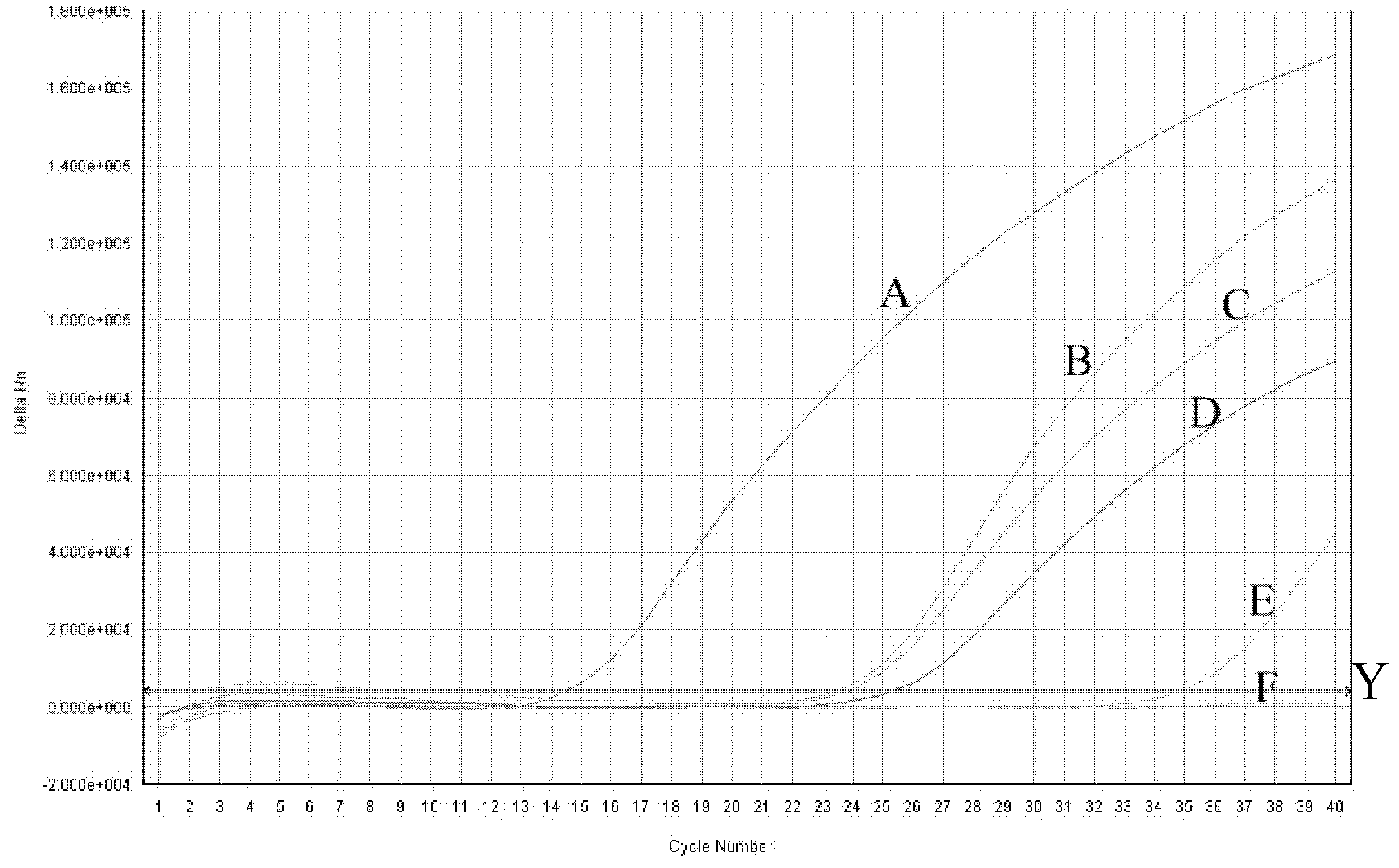 Novel orthobunyavirus fluorescence quantitative detection kit and detection method of virus