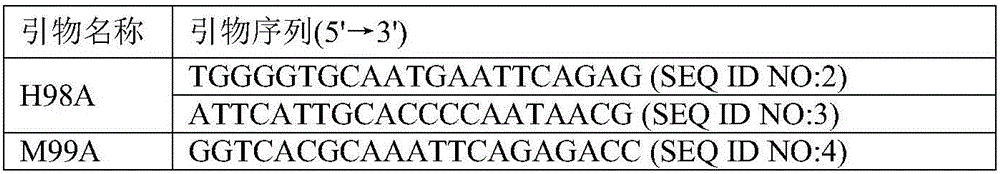 Tyrosine decarboxylase mutant and gene and application thereof