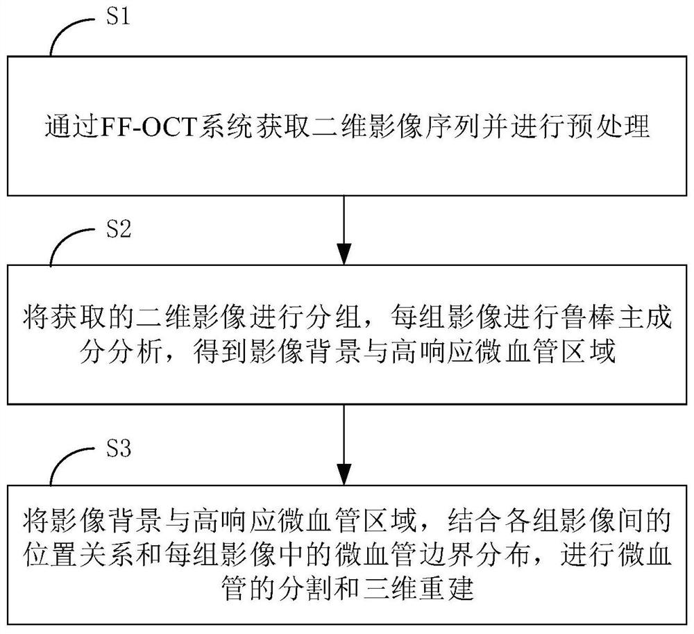 Subcutaneous microvessel segmentation and three-dimensional reconstruction method based on optical coherence tomography