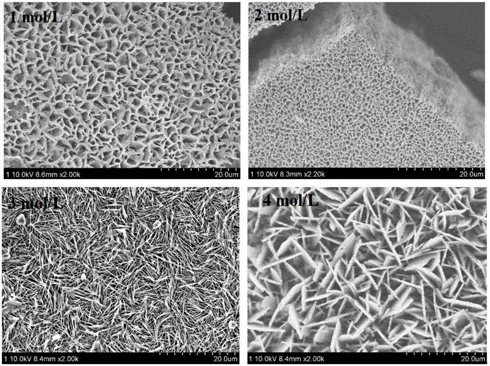 Method for preparing three-dimensional porous bioactive glass