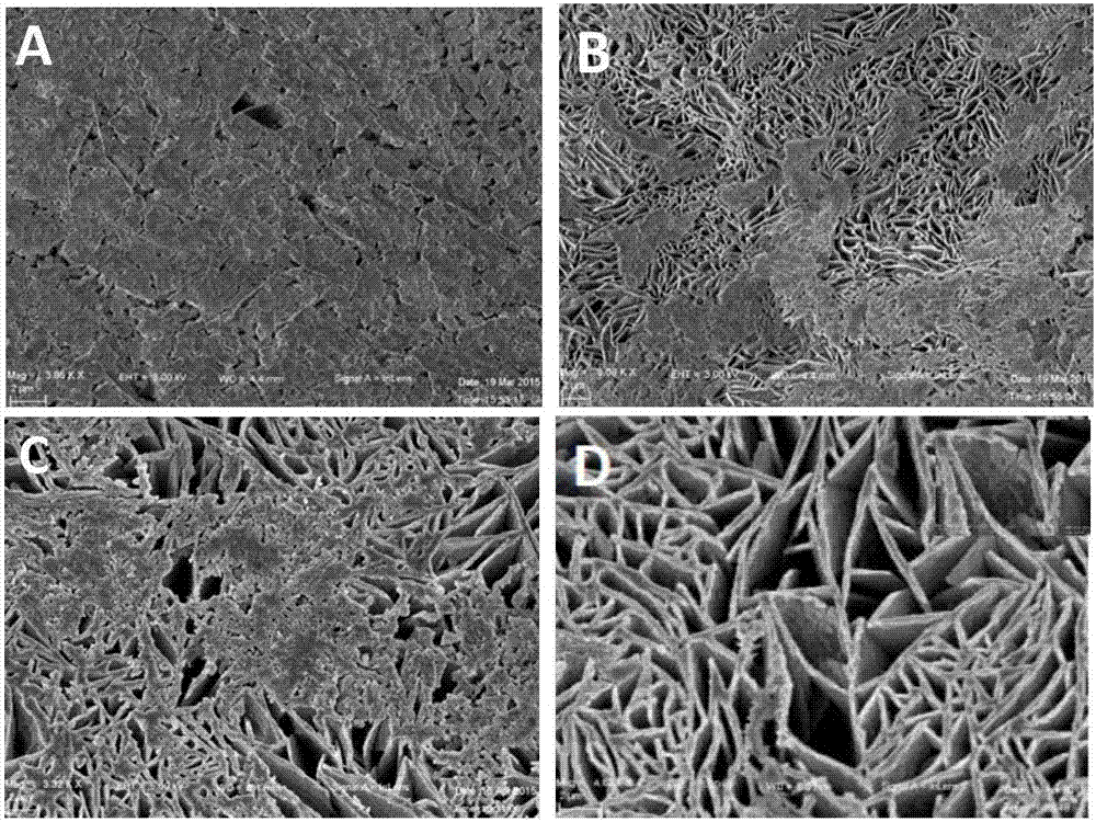 Method for preparing three-dimensional porous bioactive glass