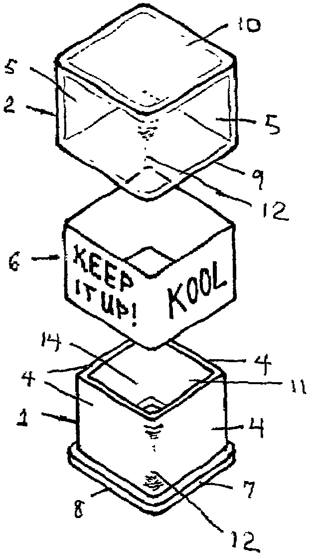 Supportive display container