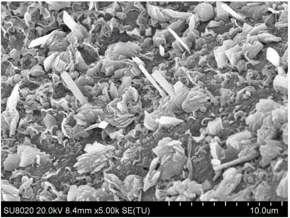 Preparation method of kaolin-based three-dimensional particle electrode