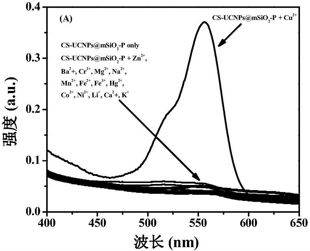 Novel diagnosis and treatment agent with integrated functions of copper ion fluorescence detection and drug therapy and preparation method of novel diagnosis and treatment agent