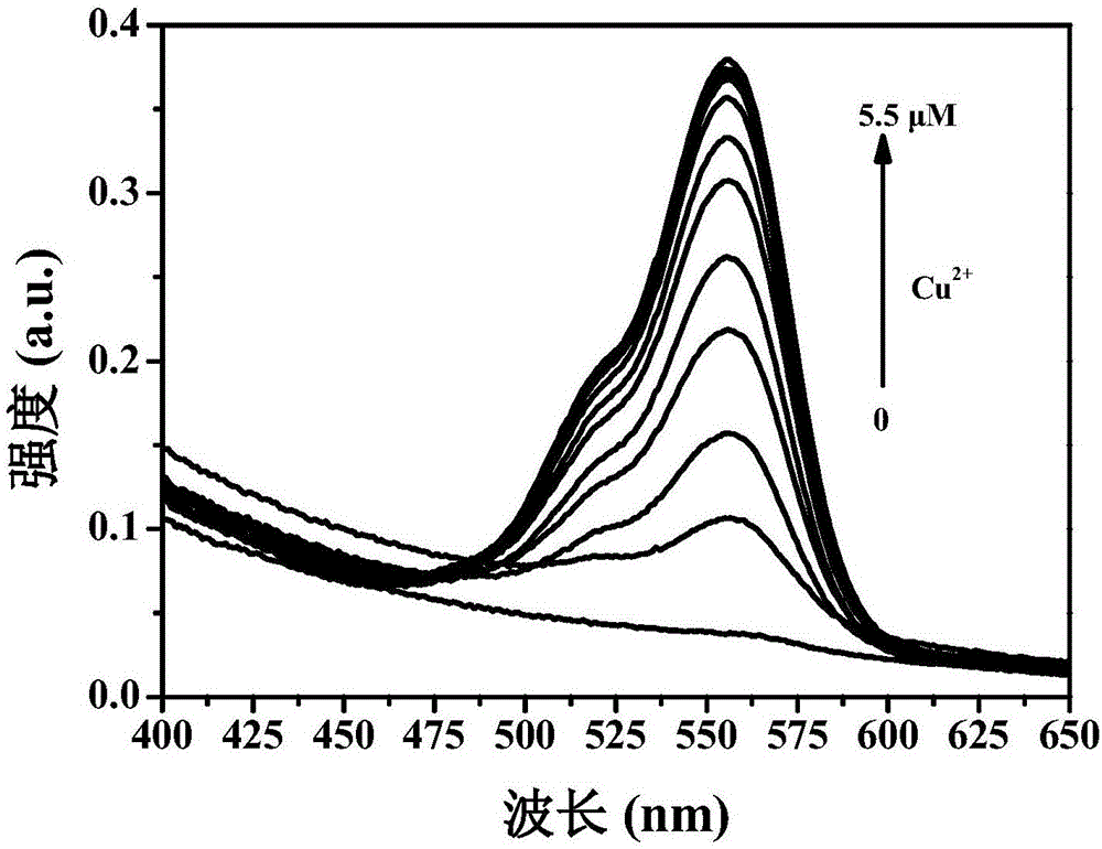 Novel diagnosis and treatment agent with integrated functions of copper ion fluorescence detection and drug therapy and preparation method of novel diagnosis and treatment agent