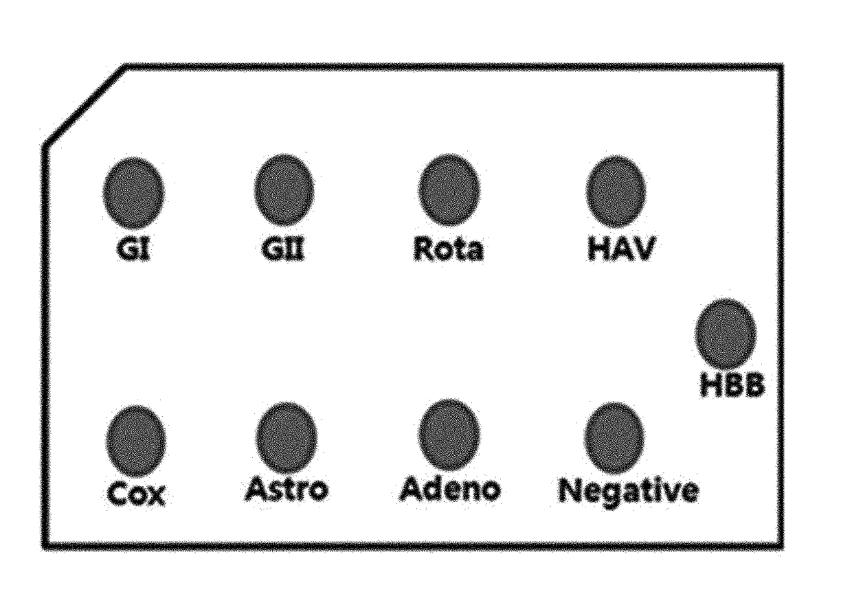 Probe for detecting virus