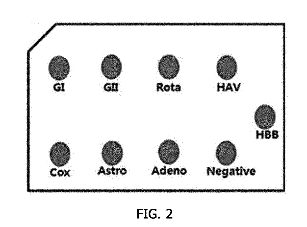 Probe for detecting virus