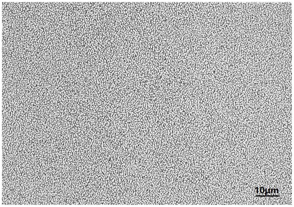 High-strength antibacterial titanium alloy plate and preparation method thereof