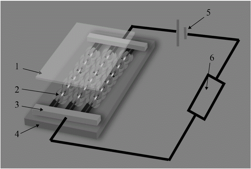 Efficient photoelectric converter based on carbon fiber@ tungsten disulfide nanosheet core-shell composite structure and preparation method of efficient photoelectric converter