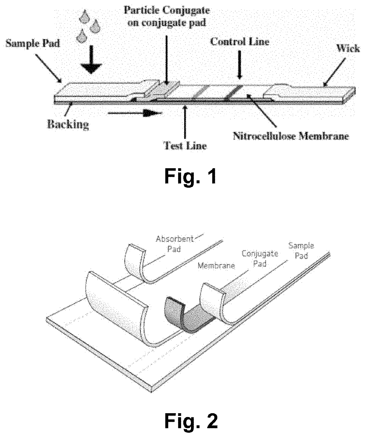 A multi-layered band and a method for manufacturing a multi-layered band