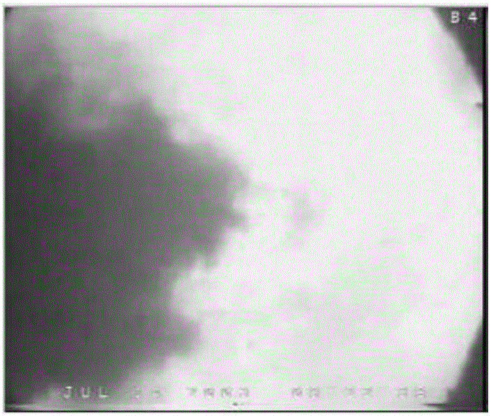 Measurement method of coal dust and in-furnace heat flow mixing effect on the basis of combustion image