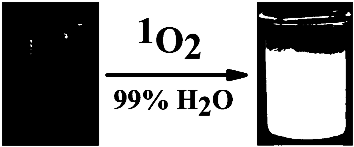 High-selectivity aggregation induced chemiluminiscence probe for &lt;1&gt;O2 as well as preparation method and application of chemiluminiscence probe