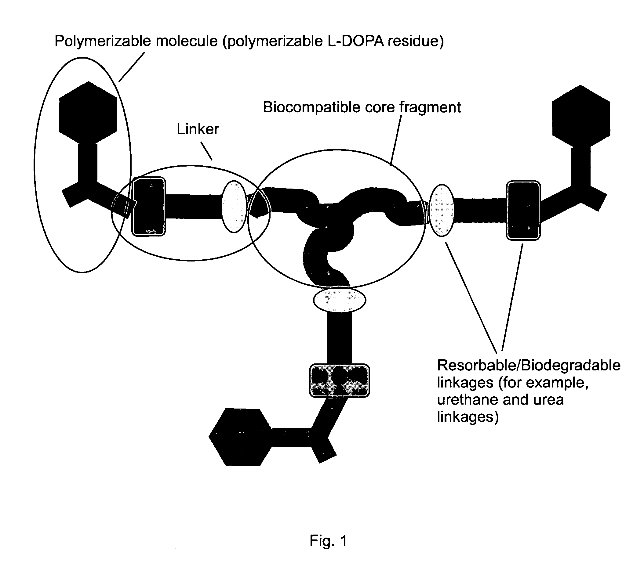 Wound healing polymeric networks