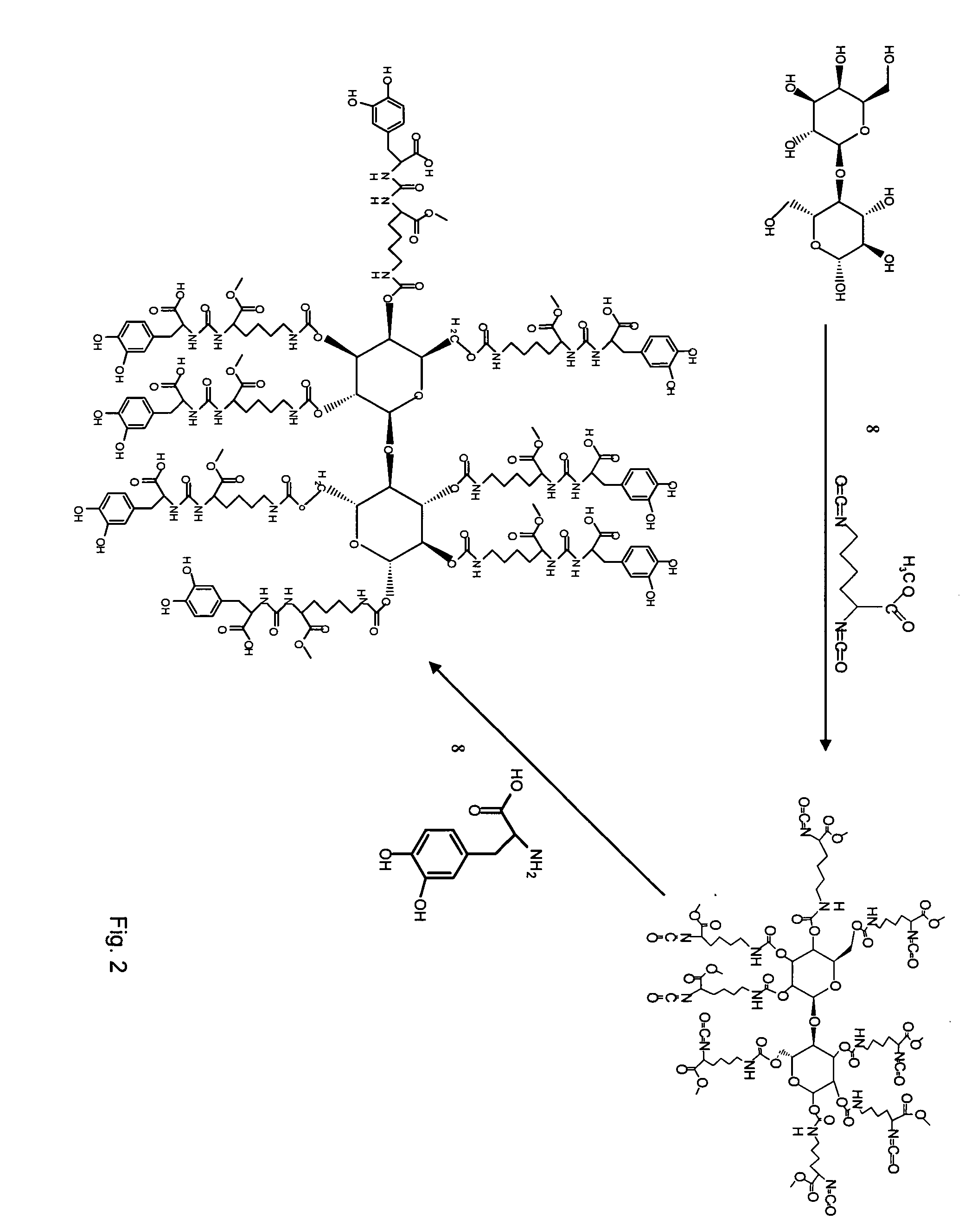 Wound healing polymeric networks