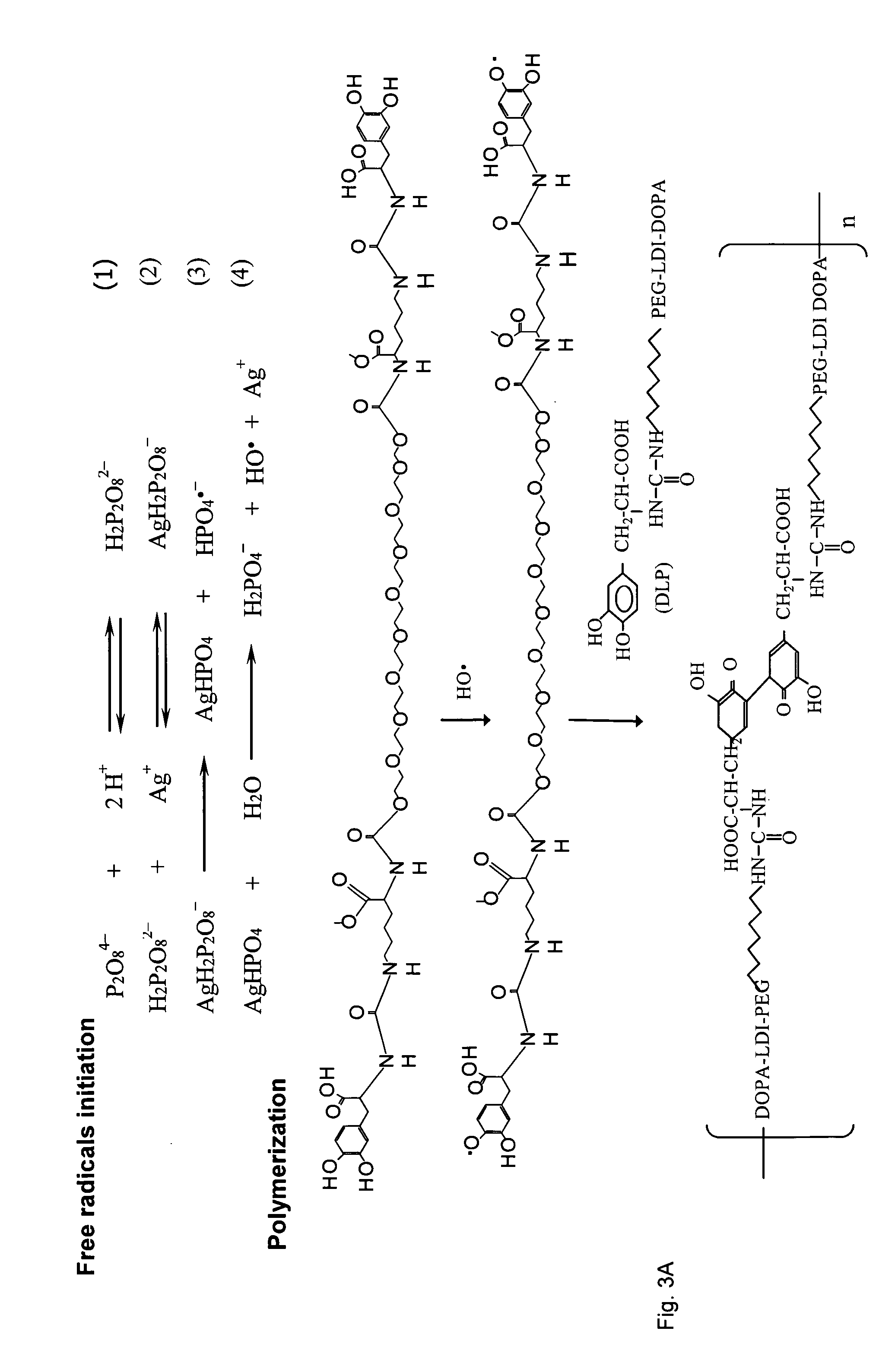 Wound healing polymeric networks