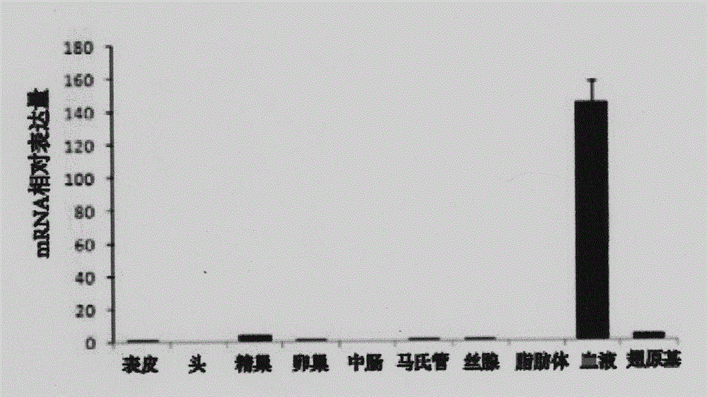 Identification of silkworm hemocyte specific expressed gene cathepsin O regulation element