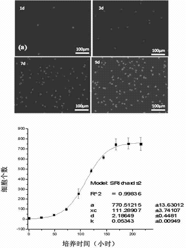 Microfluidic chip system for culture and multiplication behavior research of marine microalgae