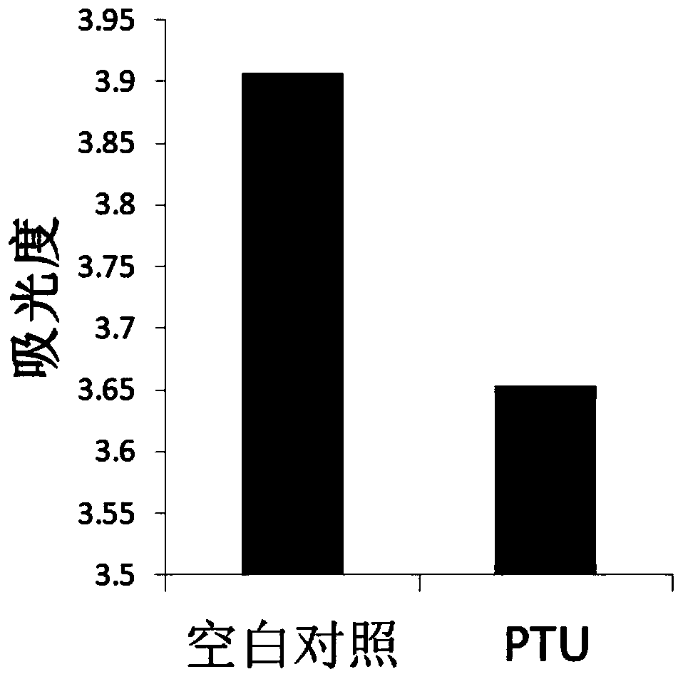 Whitening effect evaluation method based on small fish embryos