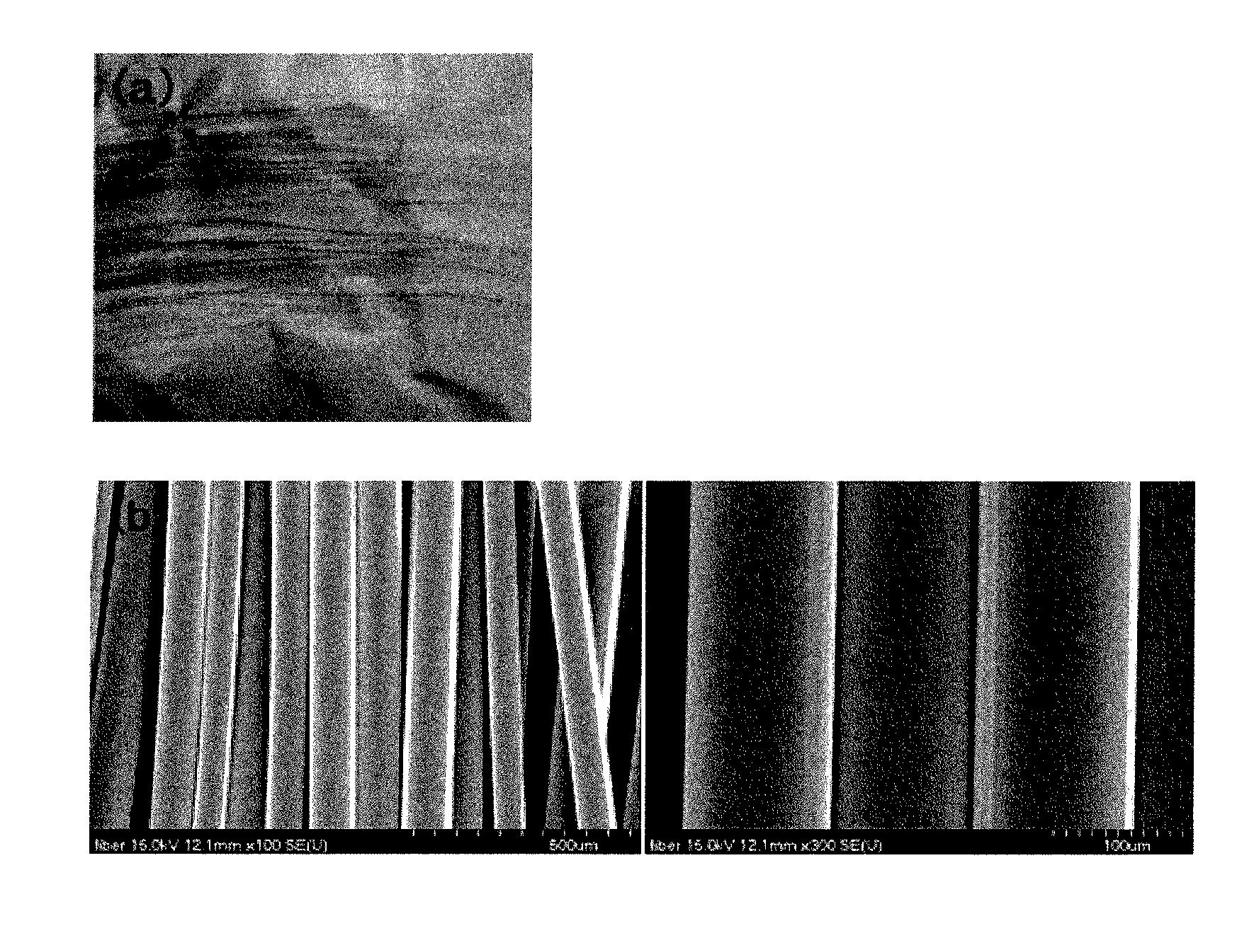 Method for preparing polyacrylonitrile-based polymer for preparation of carbon fiber using microwave and method for preparing carbon fiber using the same