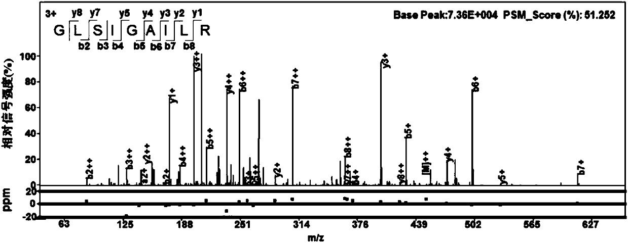 Mycobacterium tuberculosis (MTB) H37Rv coding gene and application thereof