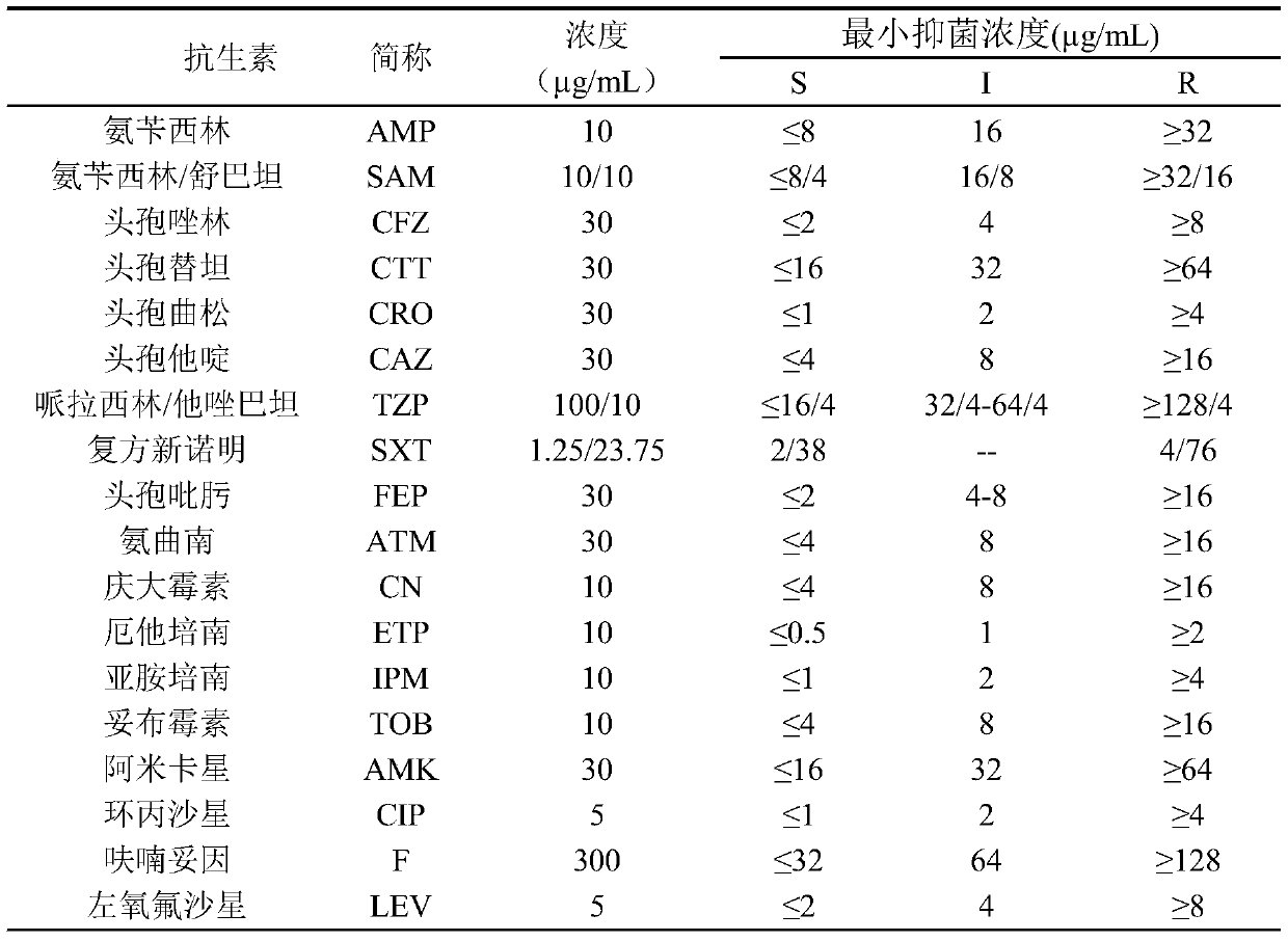 Application of pulsatilla saponin A3 in inhibiting growth of multi-drug-resistant Providencia rettgeri