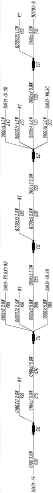 Online cylinder crimping apparatus and method