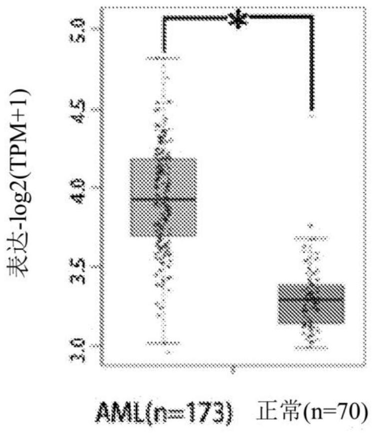 METTL16 inhibitors and uses thereof