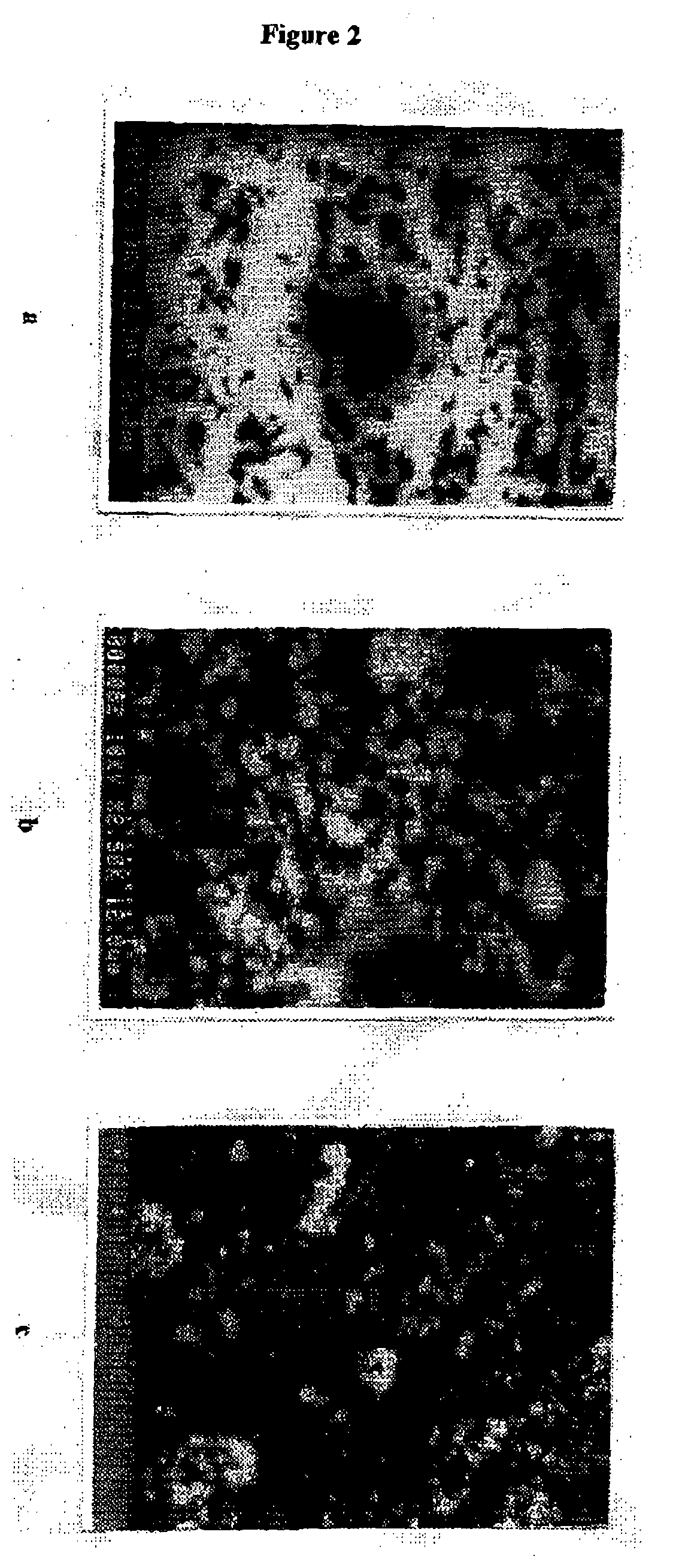 Apparatus for purification of industrial wastewater with thin film fixed bed TiO2 photocatalyst