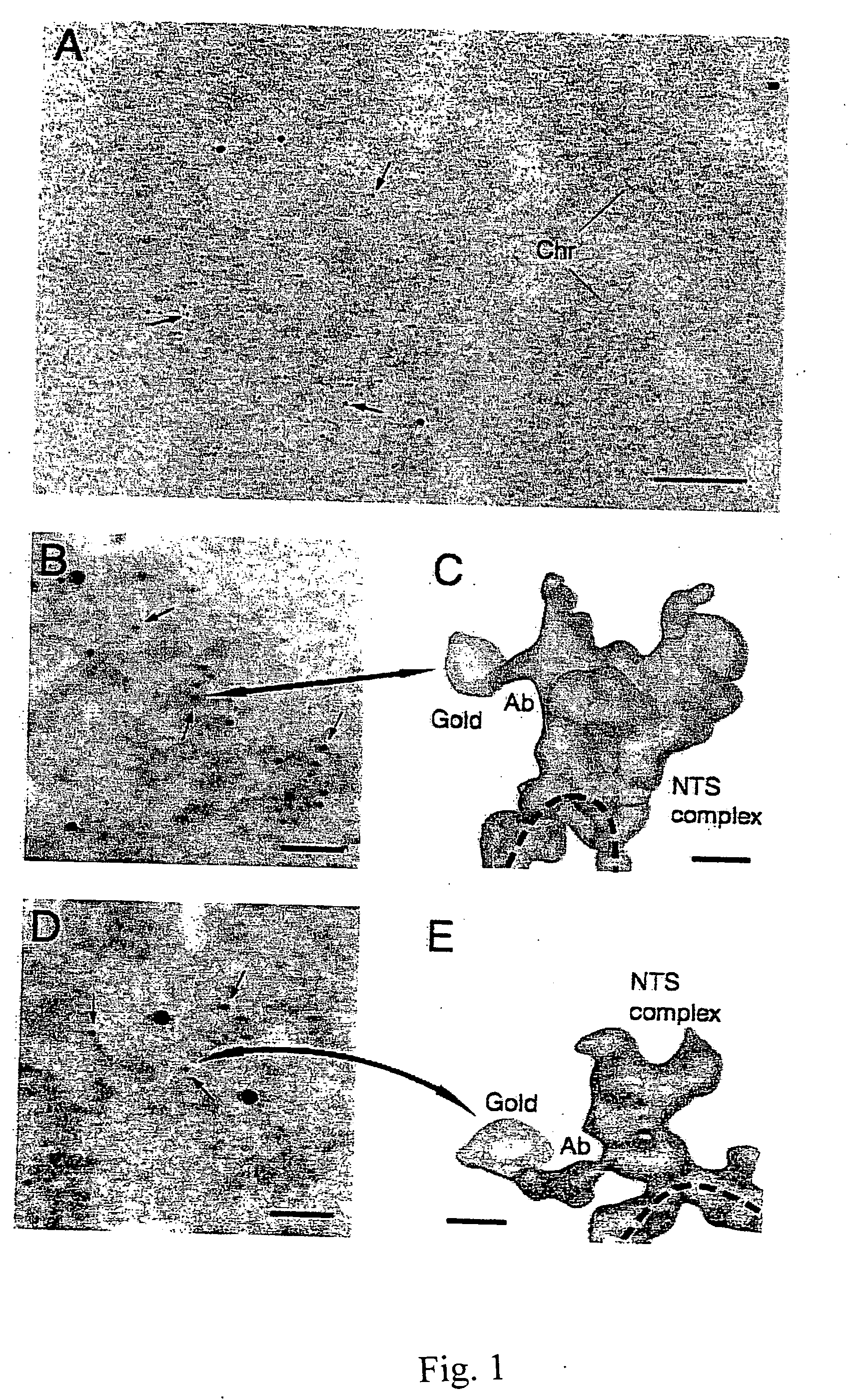 Method for localizing and identifying isotopes